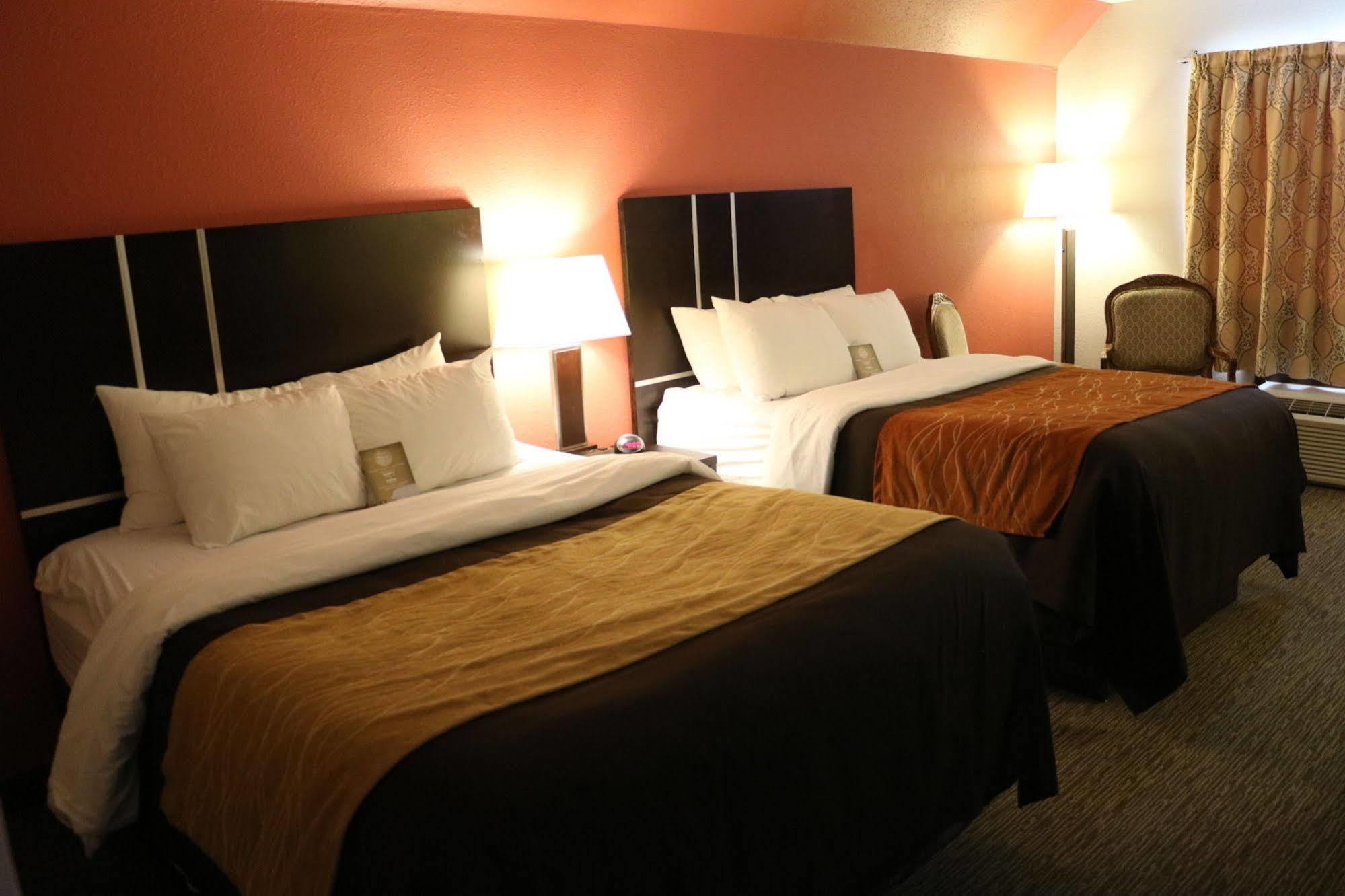 Comfort & 3*